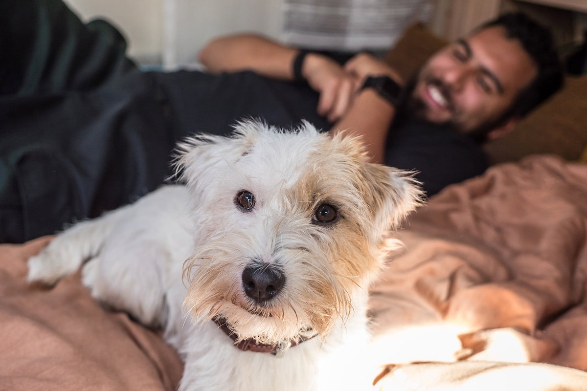 Der Hund ist der liebste tierische Begleiter von Camper:innen.