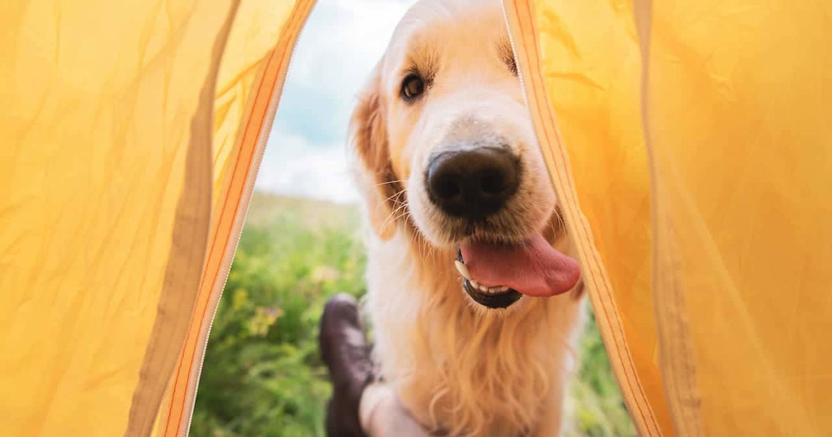 hängematte mit gestell für kinderzimmer AMANKA Kinder Hängesessel Kissen - Bequeme Hängeschaukel Kinderzimmer, Wohnzimmer, Balkon, Garten - Indoor und Outdoor Hängestuhl aus Baumwolle für Mädchen und Jungen Build Options:Cascade Peak Pro Camping Lo Monte: Campingplatz nada-hidden