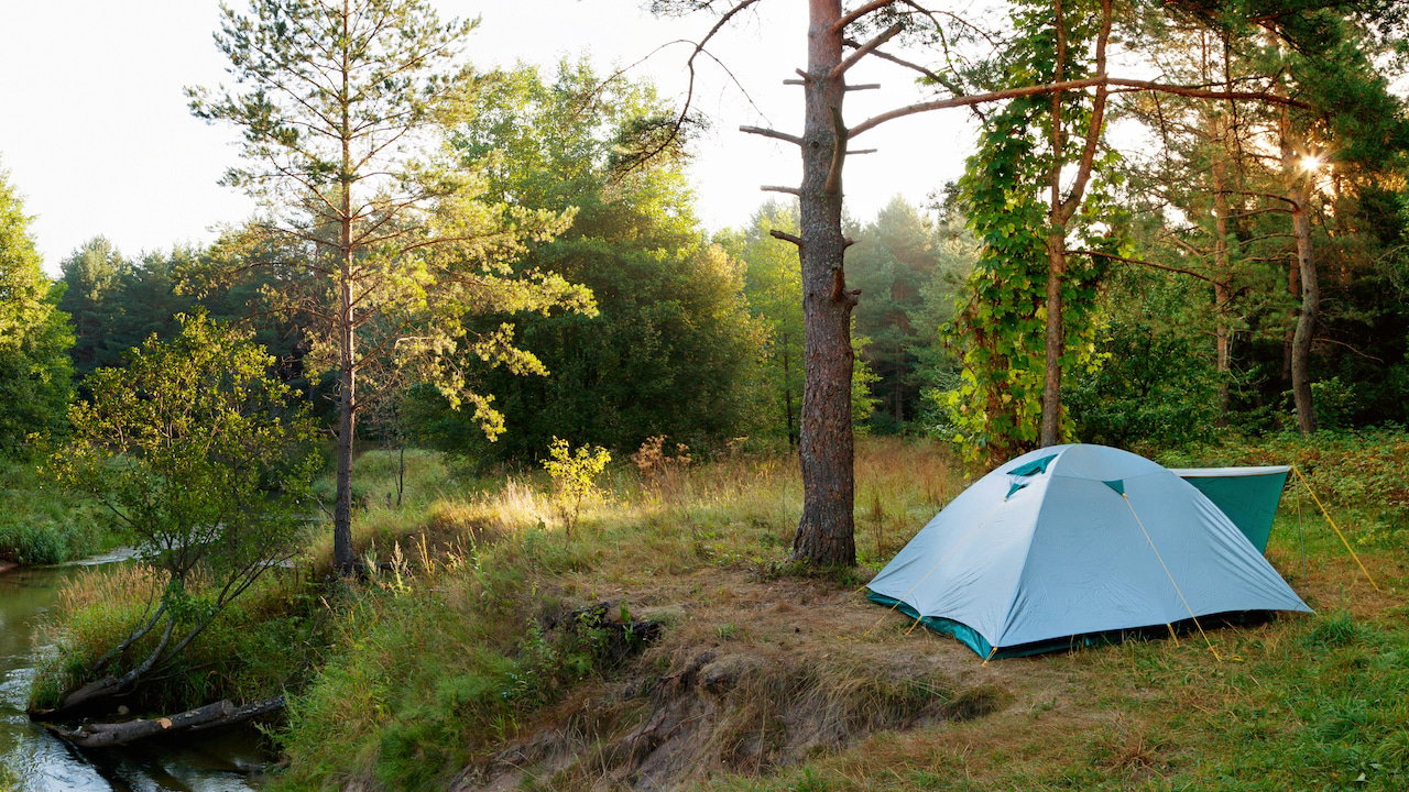 Polen erlaubt Wildcamping in ausgewählten Wäldern