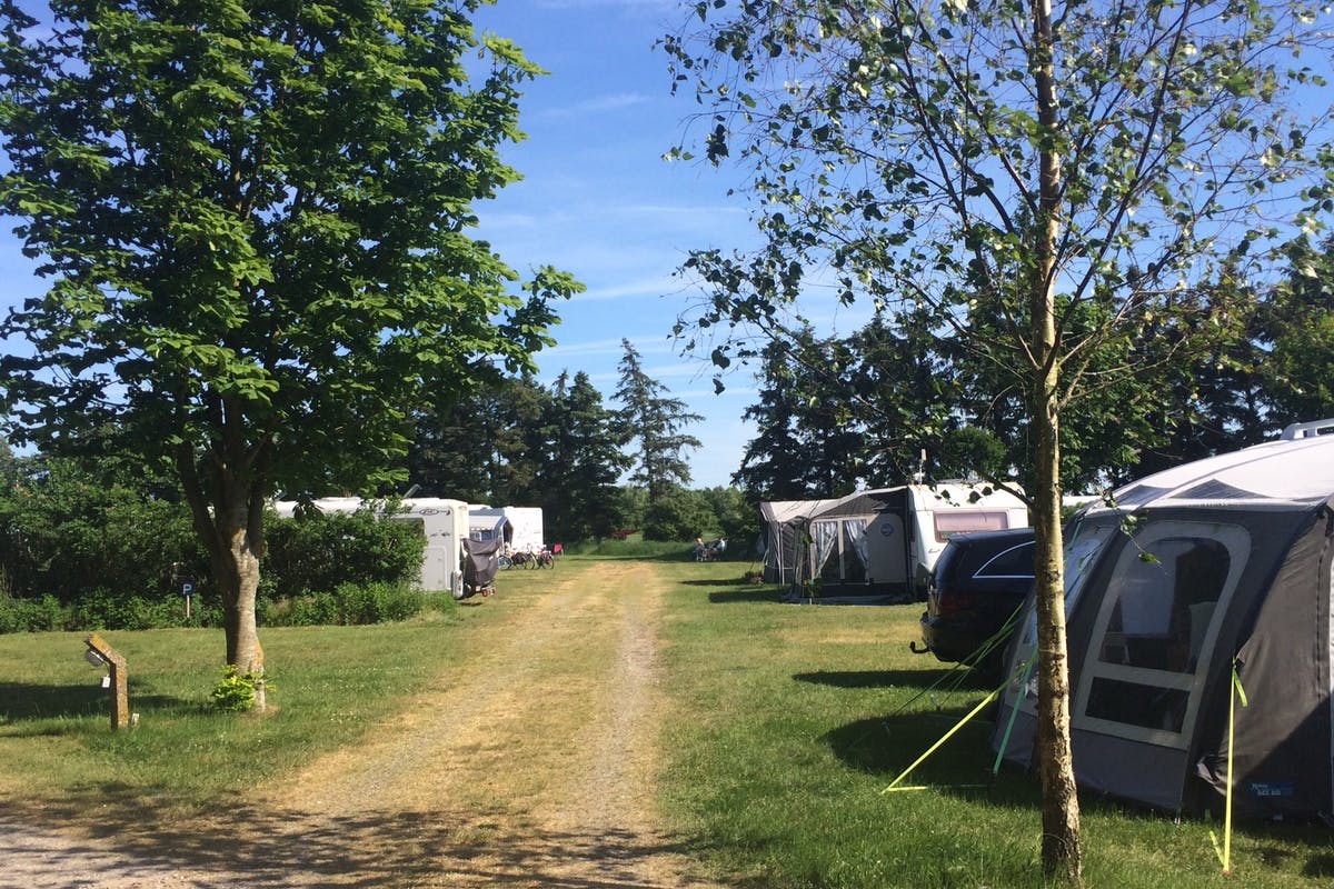 Camping Süddänemark auf Ballum Camping