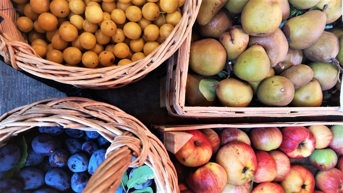 Verschiedene Obstsorten für Mus DIY Einkochen und Einlegen beim Camping