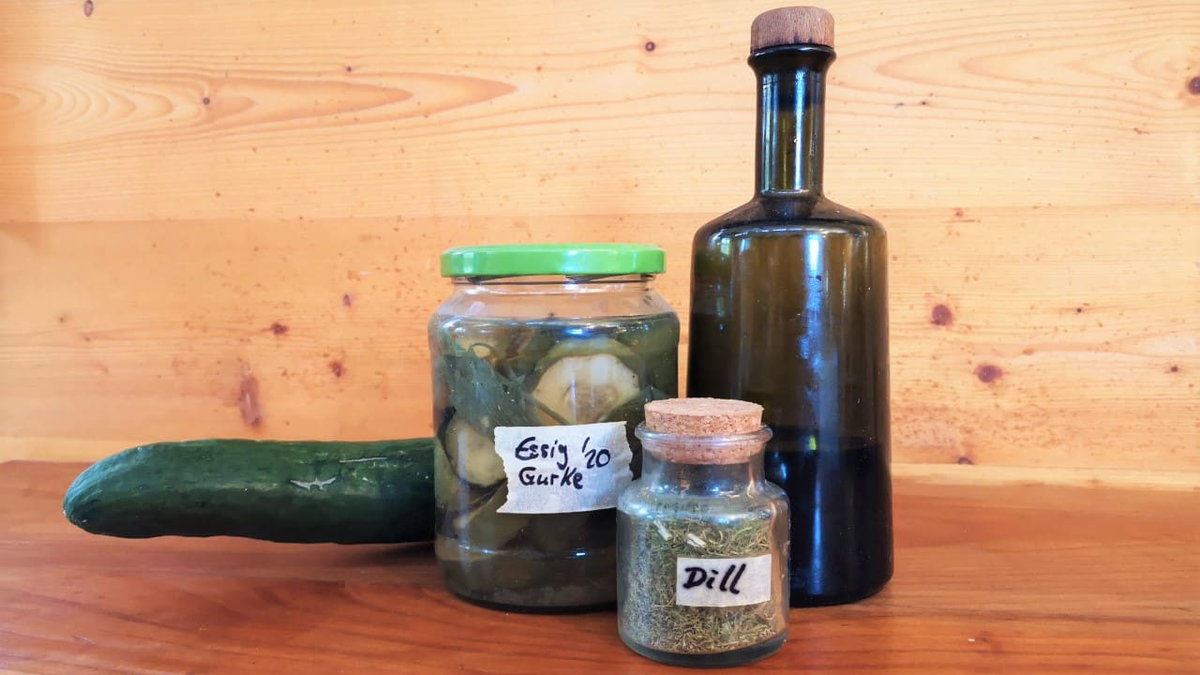 Saure Gurken als DIY Einkochen und Einlegen beim Camping