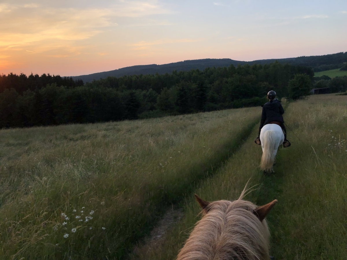 Ausritt beim Camping mit Pferd