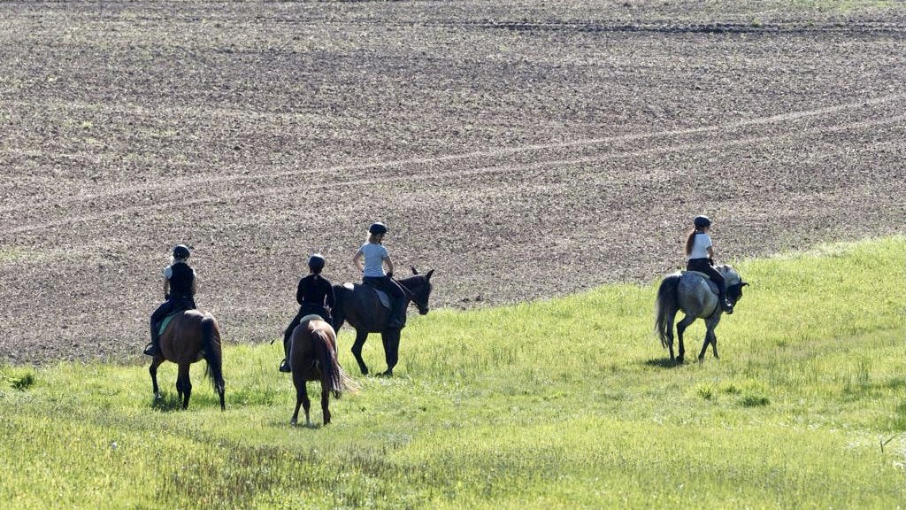 Camping mit Pferd plus Ausrit
