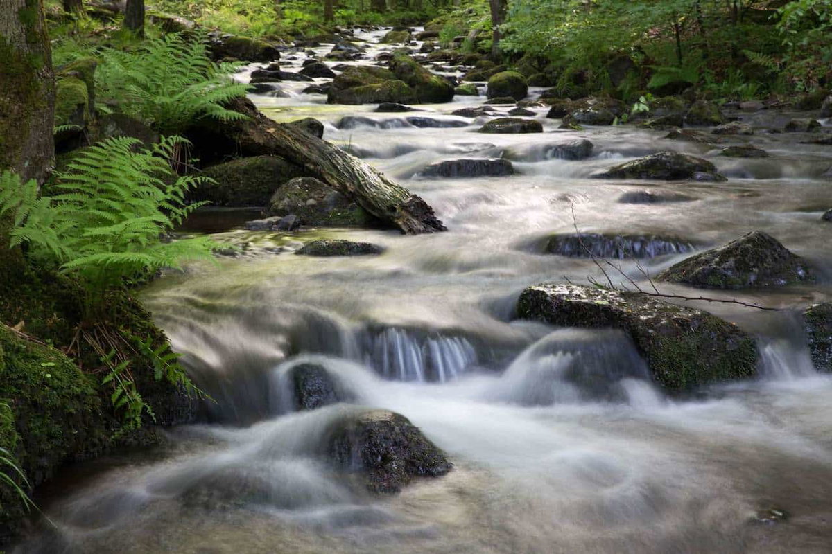 Fluss in Vogelsberg beim Camping