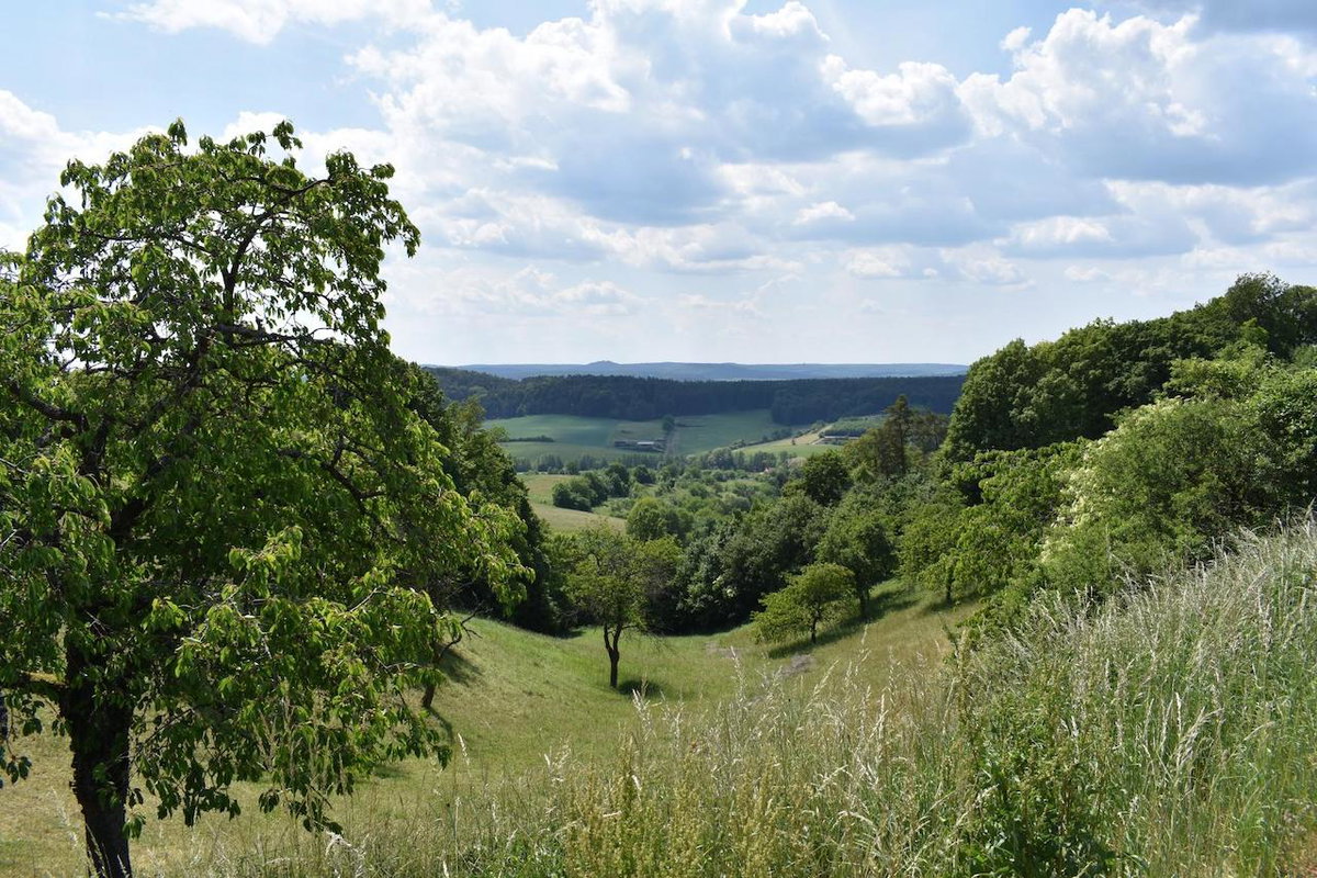 Eine Wiese mit Streuobst auf der Campingtour durch Frankenhöhe