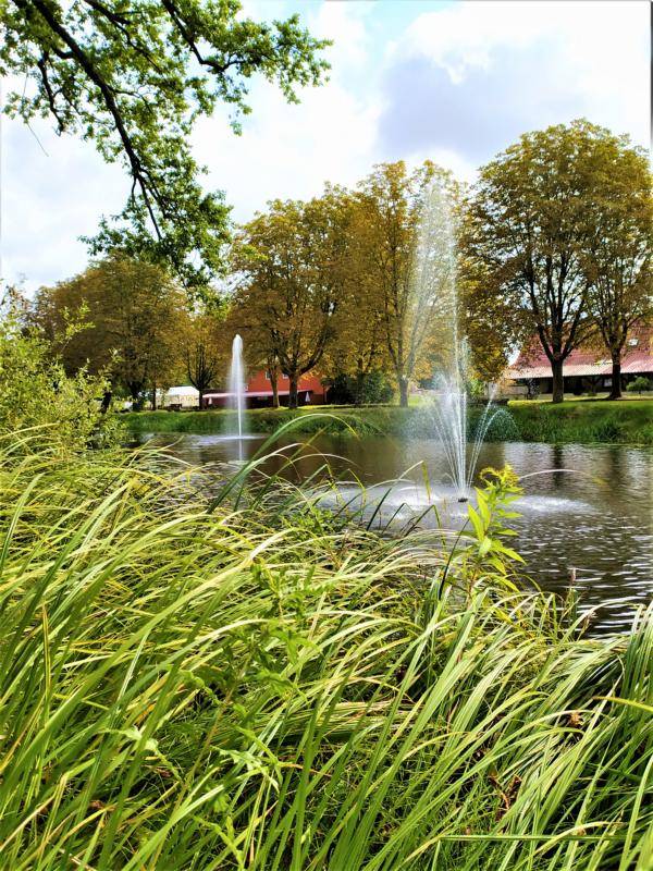 Karpfenteich im Kurpark bei einer Campingtour durch die Altmark