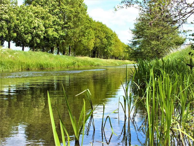 Blick auf die Milde auf einer Campingtour durch die Altmark