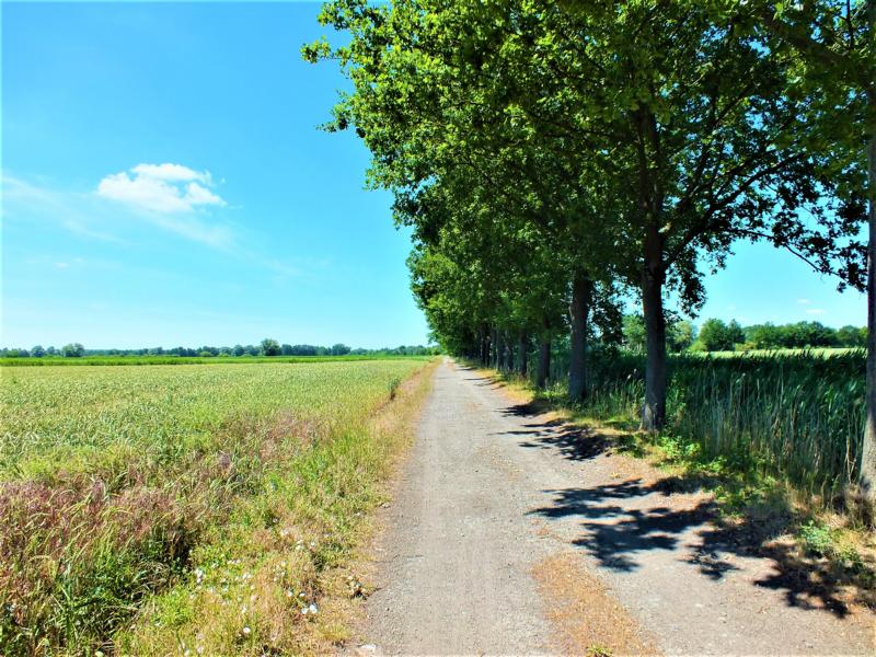 Entspannung in der Natur in der Altmark