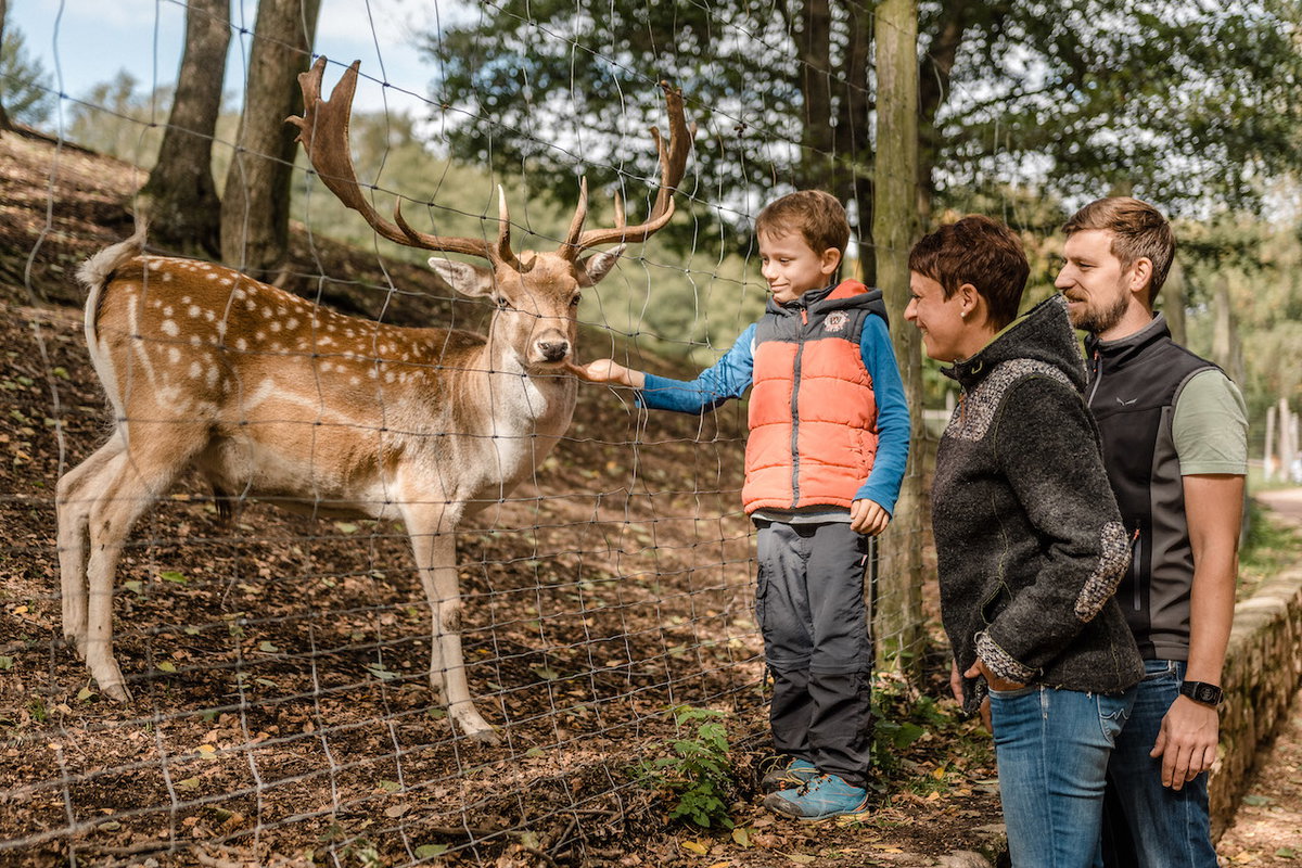 Besuch im Wildpark Osterzgebirge