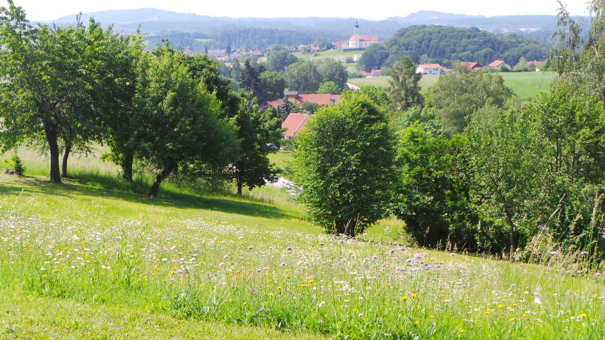 Blick auf Lallig im Sommer