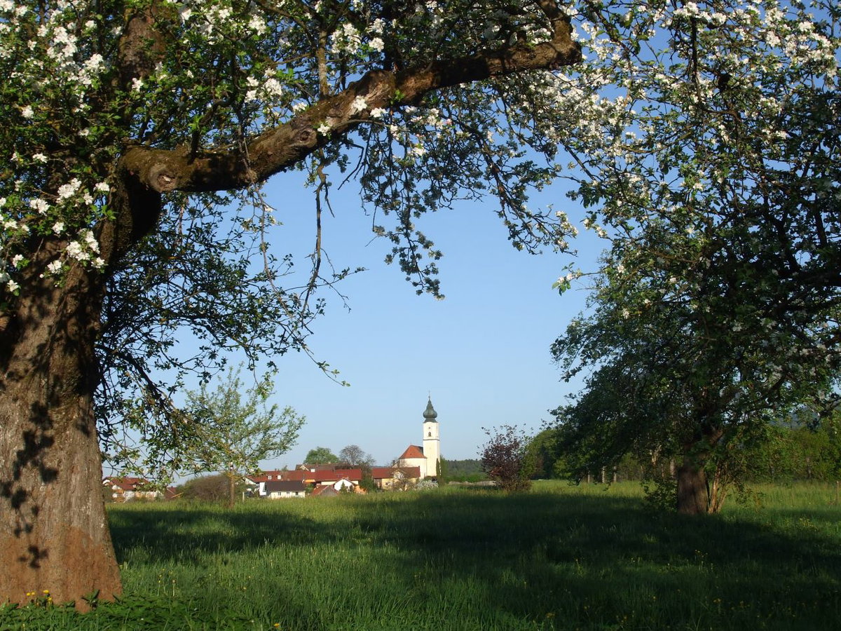 Dorf im Lallinger Winkel
