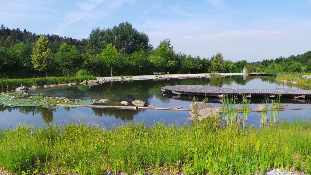 Blick in den Park im Lallinger Winkel