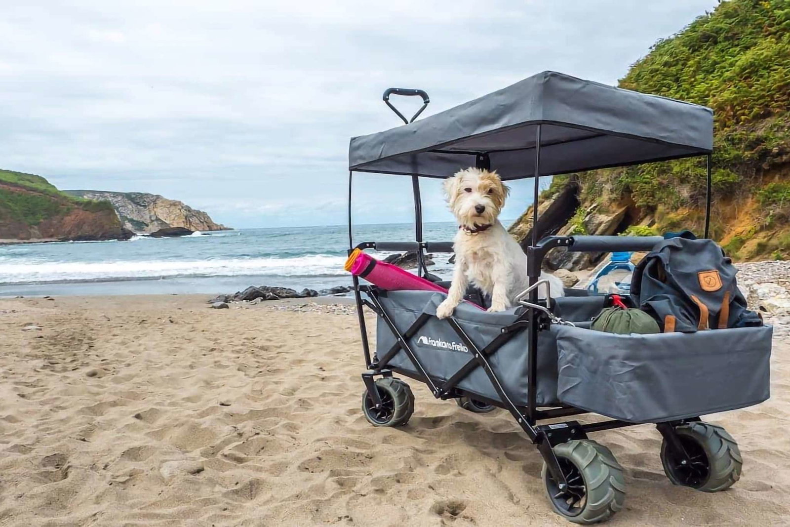 Camping mit Hund: Nützliches Zubehör für Vierbeiner auf Reisen