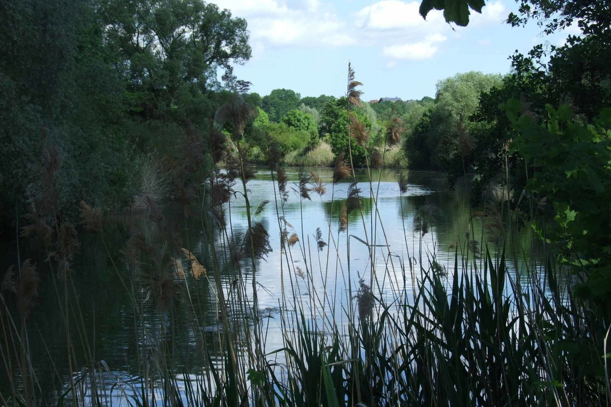Fulda-Werra-Bergland Natur