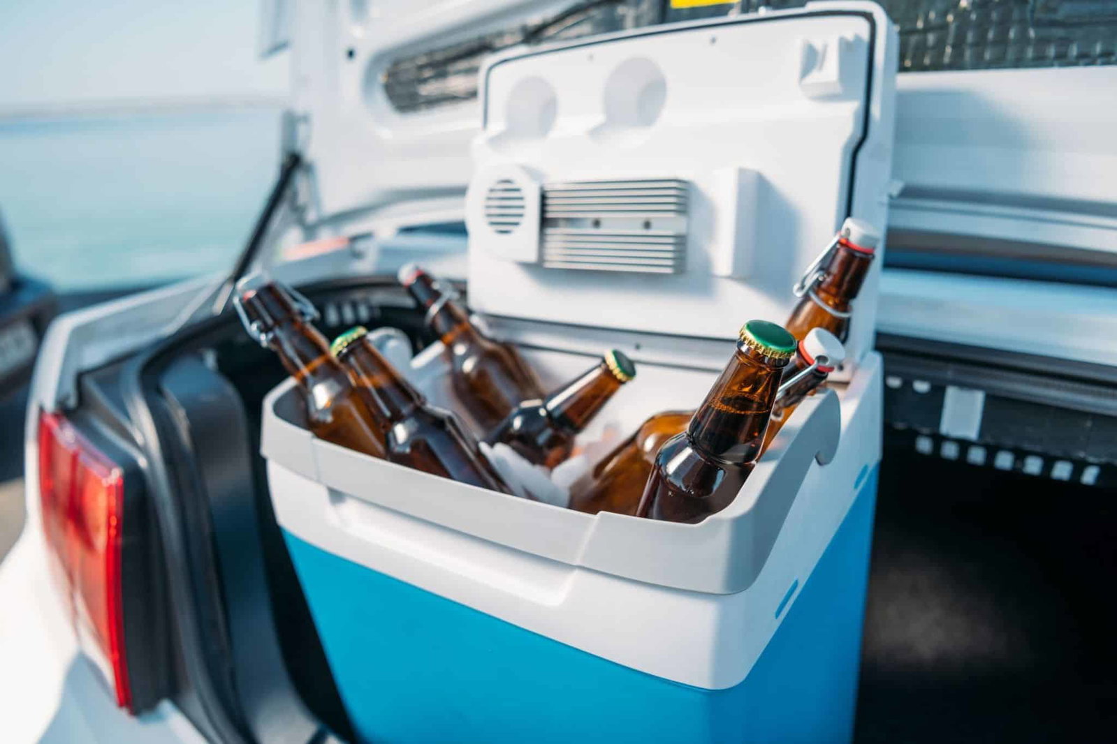 Mini-Kühlschrank für Auto und Wohnmobil: Die beste Kompressor Kühlbox