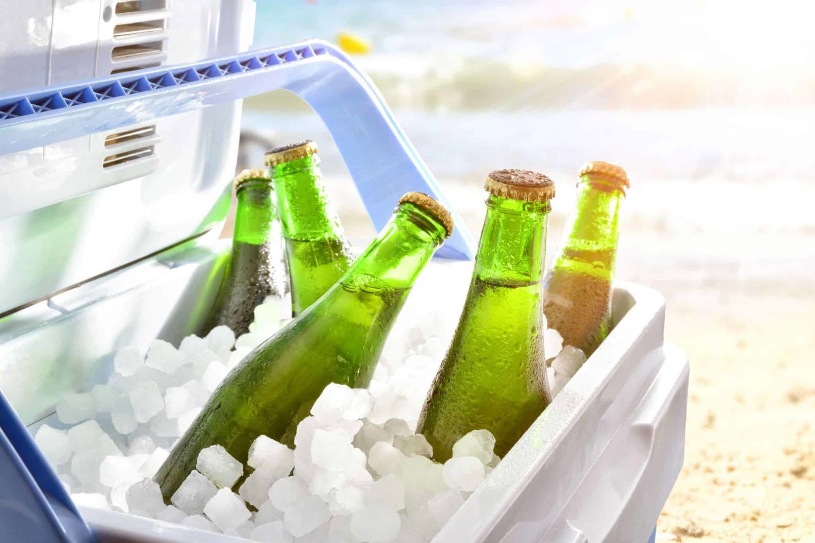 Vielseitig einsetzbar: Die beste Gas Kühlbox