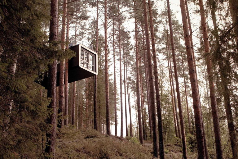 Camping mal anders: Baumkugel, Glasiglu, Kapselhotel & Co.
