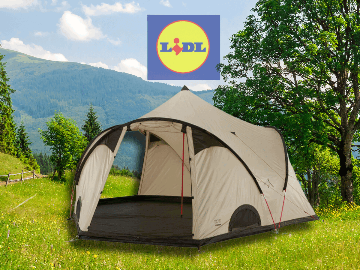 tarp für kastenwagen Sonnensegel XL Campingbusse – ROCKET CAMPER ATT|Chest|46 Size:Medium 54 CM Warema P40 Pergola Markise