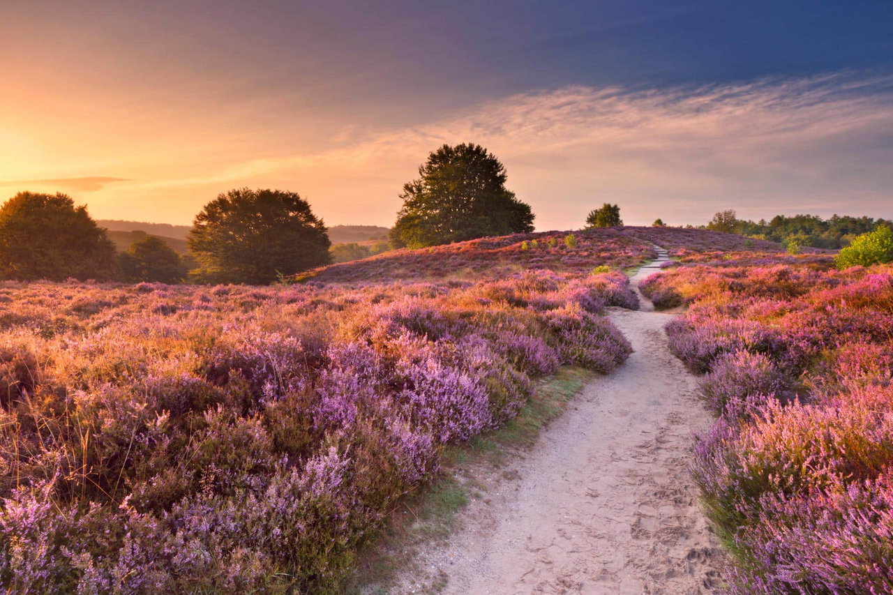 camping lüneburger heide Weg