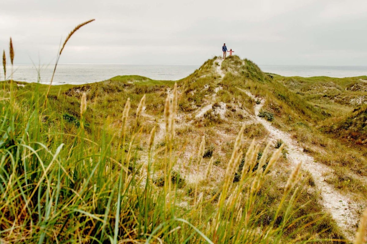 Dänemark Mietunterkünfte Natur