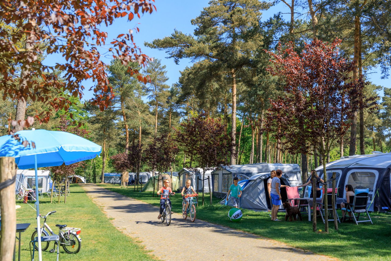 Ardoer Camping De Heldense Bossen