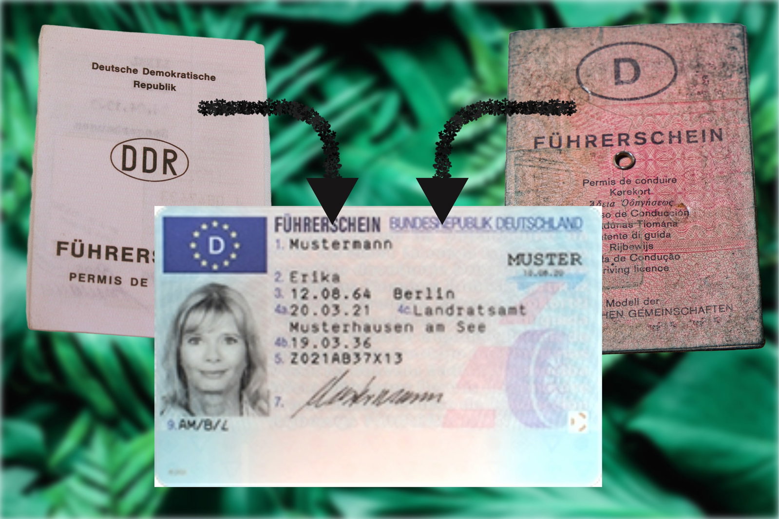 Führerschein umtauschen in Deutschland: Alle wichtigen Fristen und Informationen