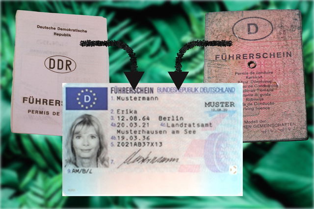 Führerschein umtauschen in Deutschland: Alle wichtigen Fristen und Informationen