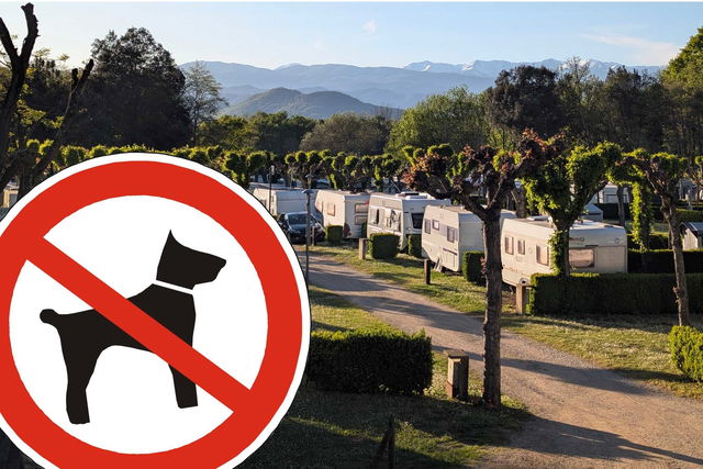 "Wir müssen draußen bleiben": Hundefreie Campingplätze in Deutschland und Europa 2026