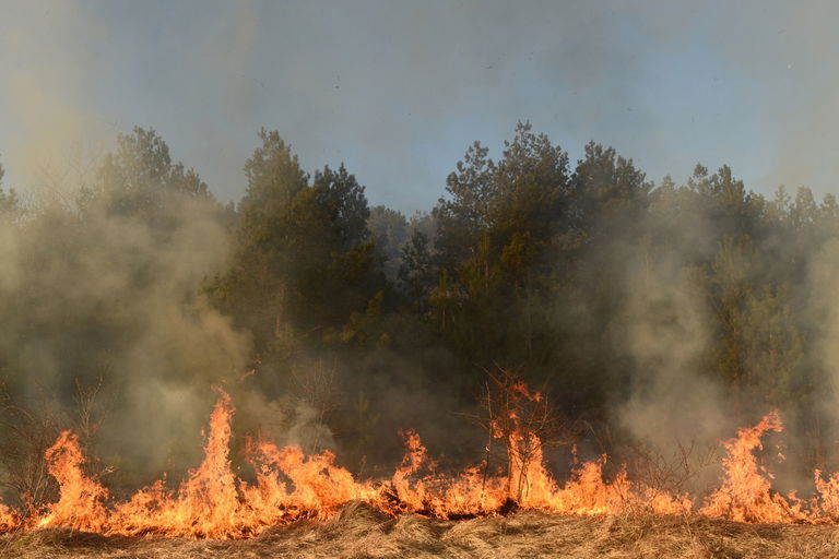 Waldbrände in Südfrankreich: Extreme Brandgefahr fordert höchste Wachsamkeit von Campern