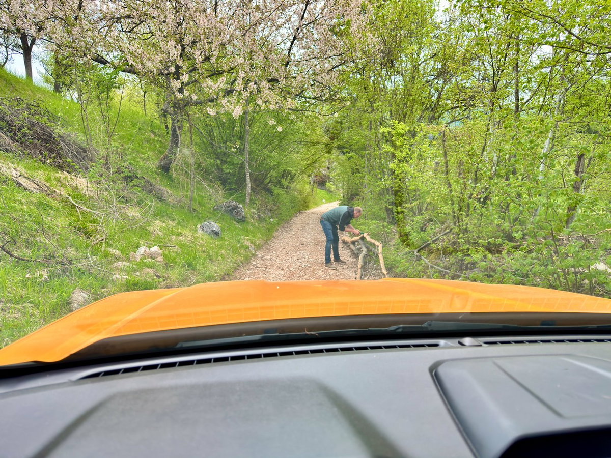 Manchmal muss die Säge ran, wenn man nicht wieter kommt
