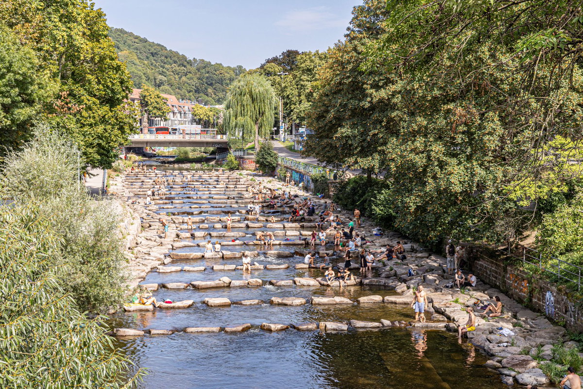 Wasserterrassen in der Dreisam.